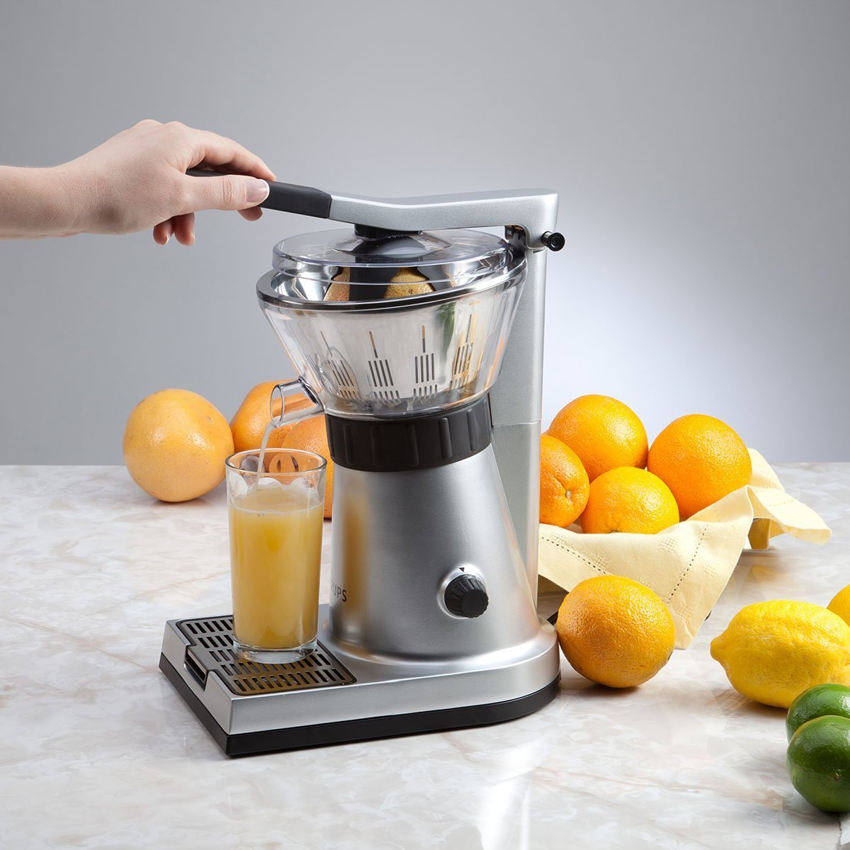 PROFESSIONAL CITRUS PRESS